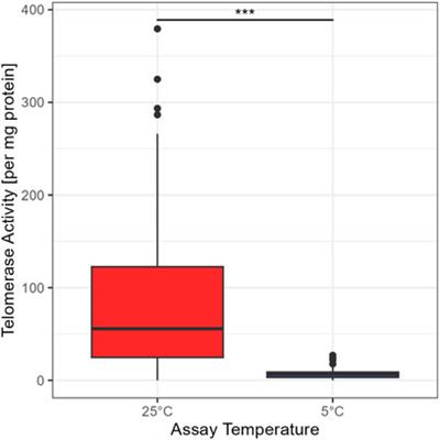 Seasonal variation in telomerase activity and telomere dynamics in a hibernating rodent, the garden dormouse (Eliomys quercinus)